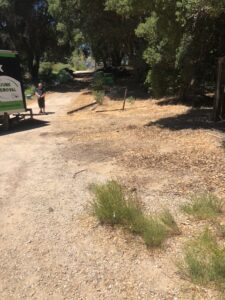 Santa Margarita Property Cleanup