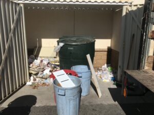 Commercial Trash Area Cleanup